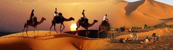 Camel Trek 3 night in the desert :
