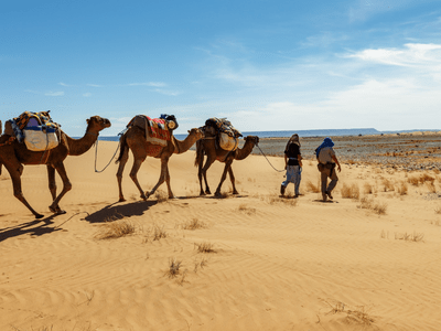 1 Night Camel Trek in Desert​