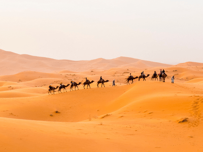 3 Night Camel Trek - Merzouga​