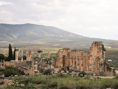 Day Tour From Fes To Volubilis Meknes – Excursion From Fez