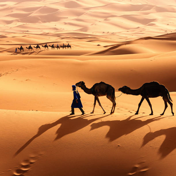 3 Nights Camel Trek in Merzouga desert Sahara
