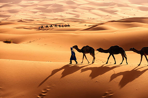 3 Nights Camel Trek in Merzouga desert Sahara